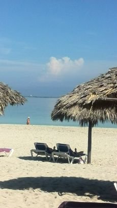 Food; wine; travel; cooking; Asian food; restaurants; restaurant reviews