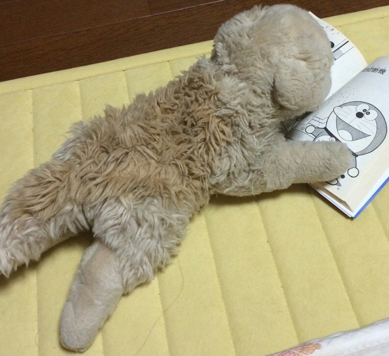 skdasm's profile picture. ( ^)o(^ )