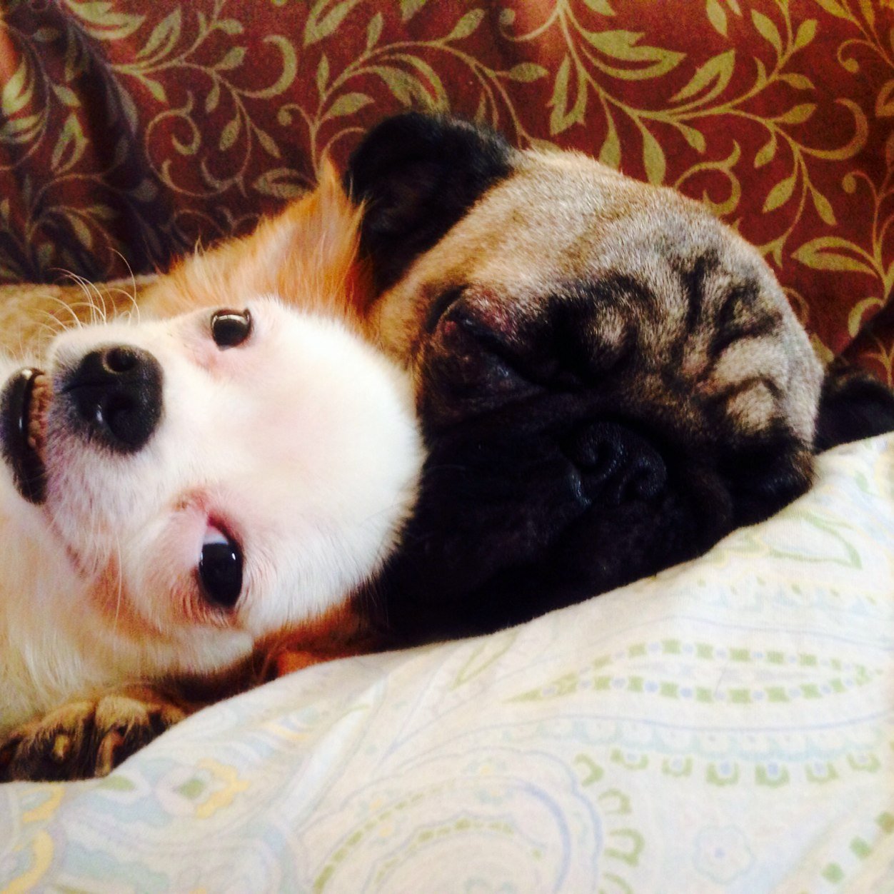 mj_braganza's profile picture. 