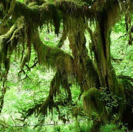 Surprisinglaces's profile picture. The most surprising places to consider taking a baby…then shuck that ... Before you go