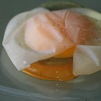 Frisse Windeieren (@freshwindeggs) 's Twitter Profile
