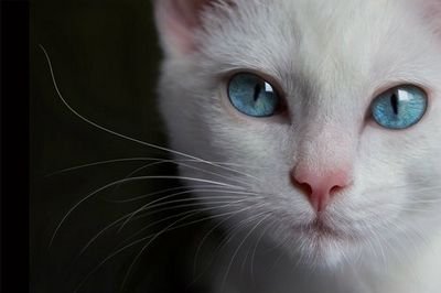 Lde_Luuciiaa23's profile picture. Seguirme en @luciia165