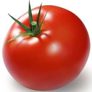 Echte NL tomaten! Alle soorten en maten. Jaarrond. Natuurlijk uit Nederland! Gezond, veilig en duurzaam. En geen andere... Wij gaan op zoek.