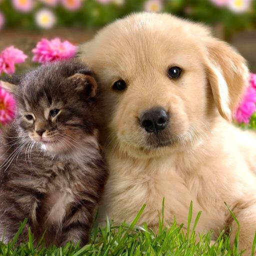 bdrbence1's profile picture. 