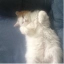 Bob Levesque - @Minsky33Bob - Twitter