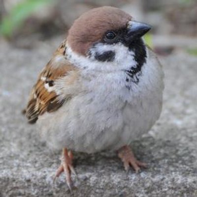 思惟 しい 愛の対義語が夢 愛が利他ならば 夢は利己なの そういうことなの Sazae F カツオ 愛 の対義語は 夢 よ 思惟 しい 愛の対義語が夢 愛が利他ならば 夢は利己なの そういうことなの Sazae F カツオ 愛 の対義語は 夢 よ