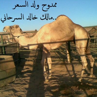 fooofm1's profile picture. 