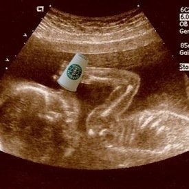 I'm still tiny but I am love very much! [THG•RP] #Charcy #BabyBear