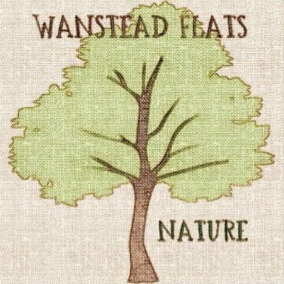WFNaturePost's profile picture. Please feel free to post your photos, art & sightings to share our love of #WansteadFlats and connect with our local nature and community.