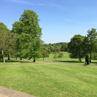 AneelRafiq's profile picture. 