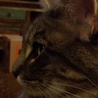 madhatter (@madhatter1110) 's Twitter Profile