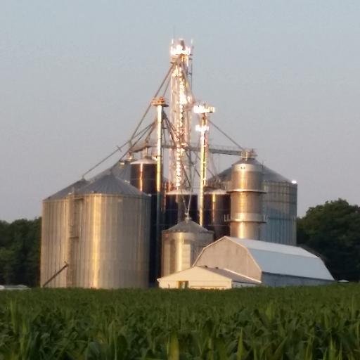 Grain Farmer from Ontario, min till, licensed elevator, bleed green and Corn is King