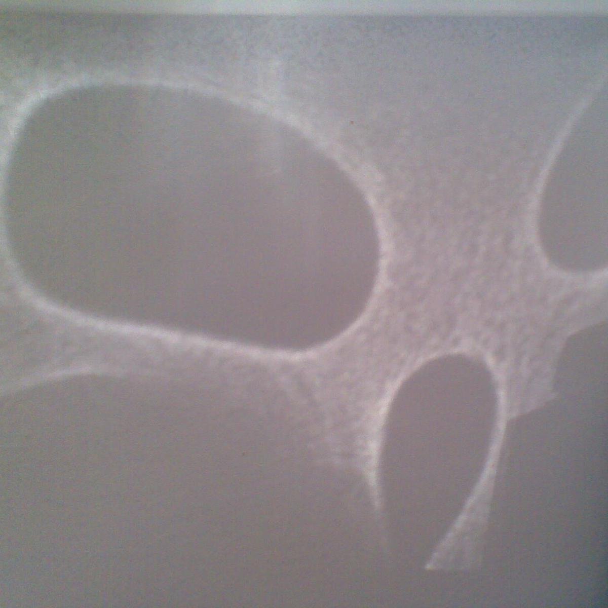 tatranky's profile picture. A Jack of all trades, master of none | OutSider|DropOut|BurnOut |READ before follow: http://t.co/2rsxQDOH