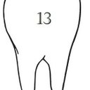 13 Tooth (@13tooth) Twitter