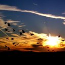 Estella Clark - @squirt2021 - Twitter