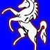 b2bkent's profile picture. Promoting business in the county of Kent We post free small business information blogs