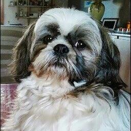 leclercdaniel76's profile picture. 