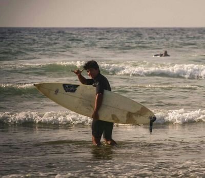 Surfer