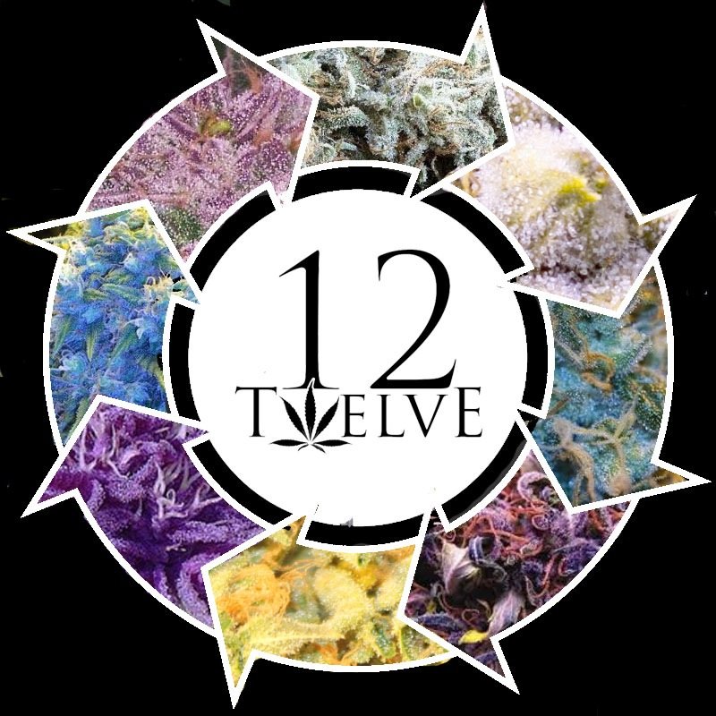 12TwelveCompany's profile picture. 