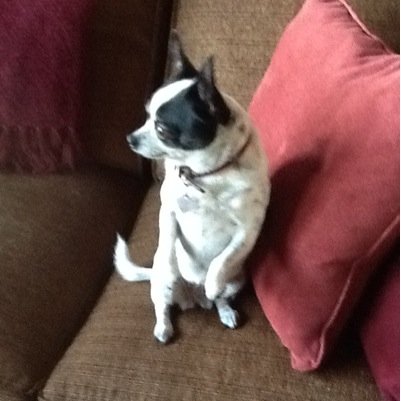 02554katy's profile picture. 