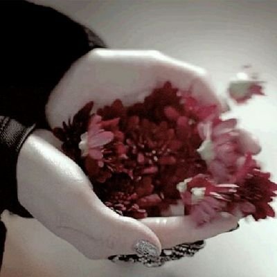 ‏وردة واحدة لإنسان على قيد الحياة أفضل من باقة كاملة على قبره...