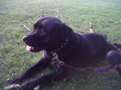 MonarchGamingHd's profile picture. 