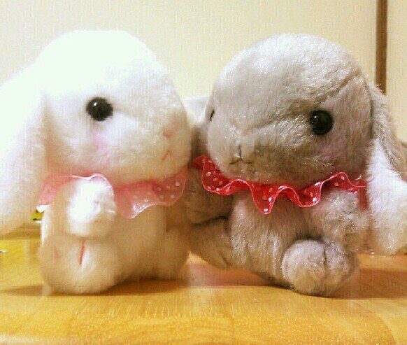 kabekabeKo19's profile picture. ただの独り言～