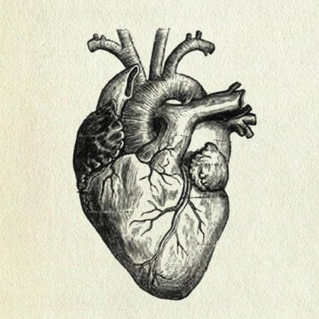 Cuenta temática sobre Cardiologia