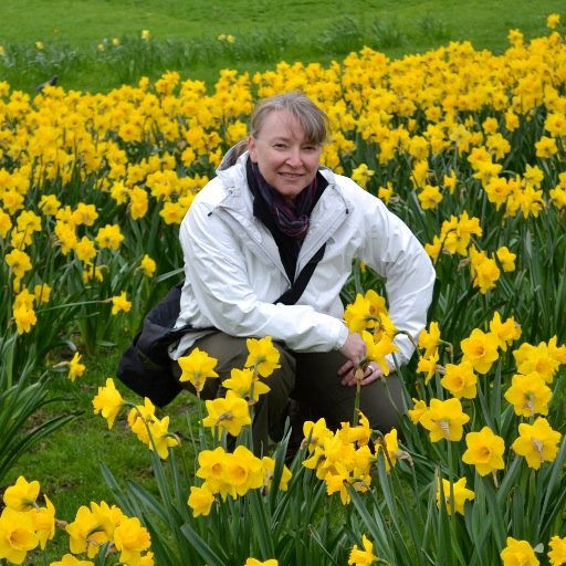 DRRKSYDE's profile picture. 