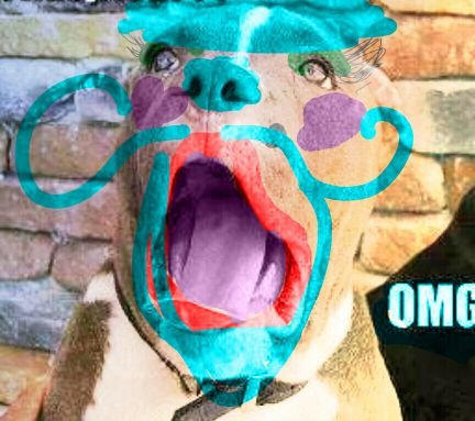 ___{^*^}___
