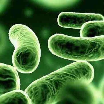 legionellaaware's profile picture. A fantastic & superb service for legionella awareness please contact legionellaawareness@hotmail.com  for further information and training