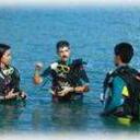 Irene Gallardo - @southernpalminc - Twitter