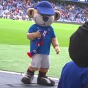 steven fell - @FellSteven - Twitter