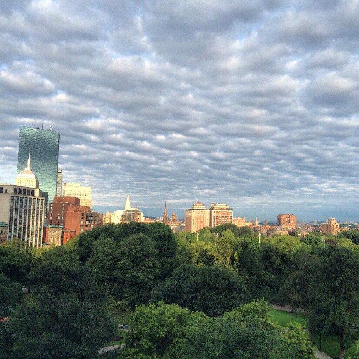 Raising three boys in Boston, working to strengthen Boston education, healthcare and community.