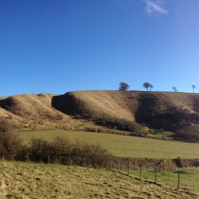 Bathntv's profile picture. A relaxed and friendly volunteer group working outdoors with the Trust in the Bristol, Bath & Wiltshire area the first Sunday of each month. FFI tweet @bathntv