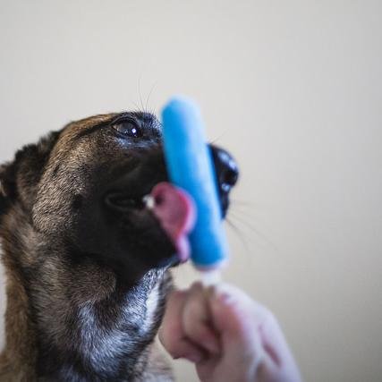 hi_iamrobin's profile picture. bye...