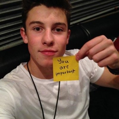 melodicmendess's profile picture. •0/12• |I like Shawn Mendes wbu|