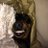 TheAuditHammer's profile image