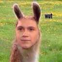 Directioner (@001directionerr) Twitter