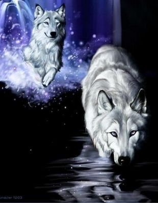 adballyussfi36's profile picture. عبد الرحمن الملكي