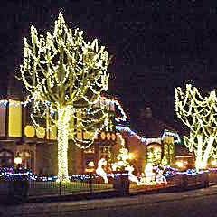 Creating award winning Christmas light displays and interior decorations since 1988.
