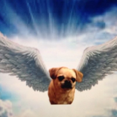 michaelmac5199's profile picture. 