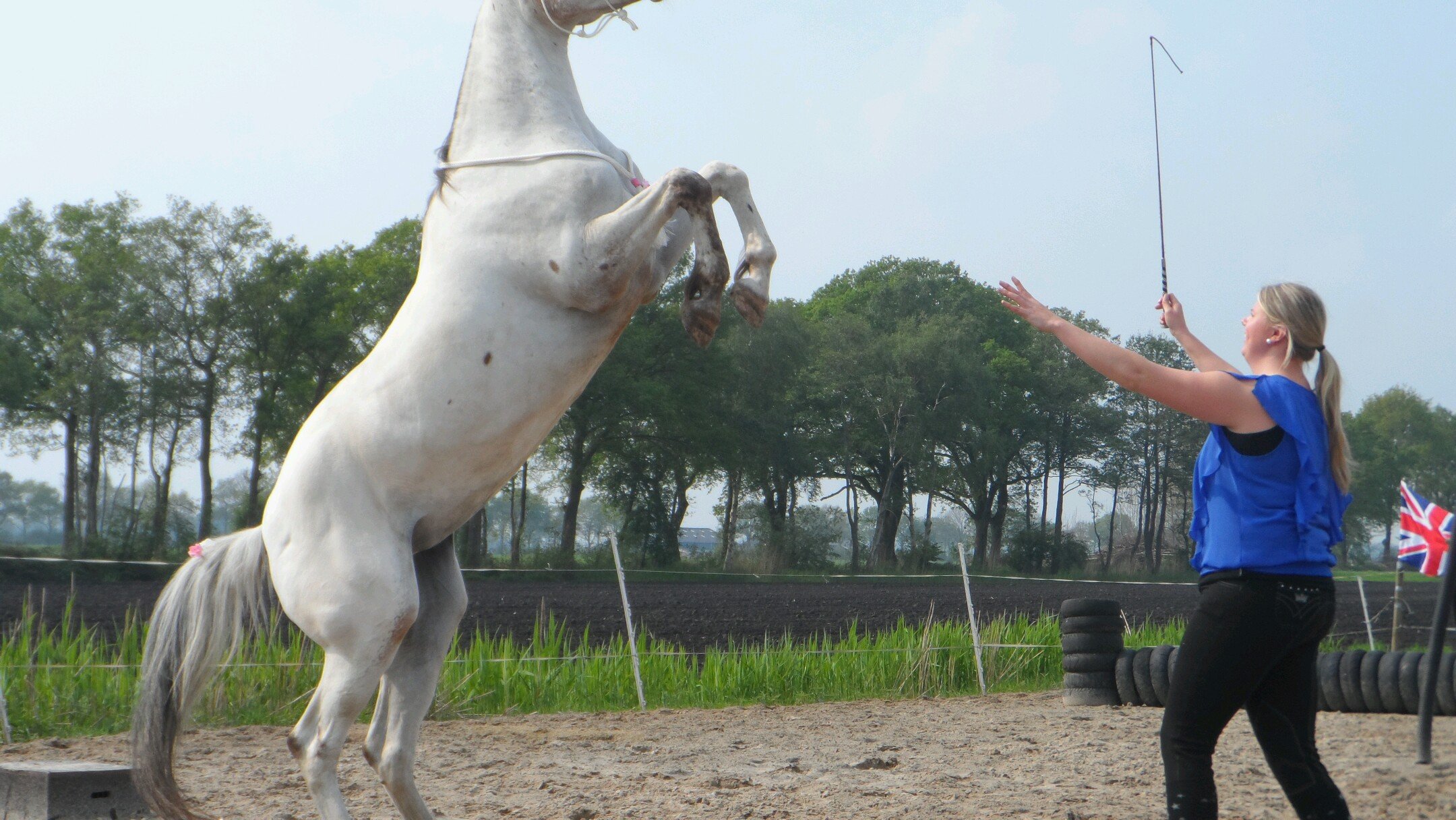 ♡ Joyce and Jaydee are perfect! they now how to do beautiful things with horses♡ follow Jaydee and Joyce now♡