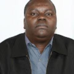 blossomnvs's profile picture. 