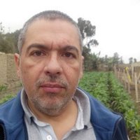 Federico Roberto P F (@federicopfe) 's Twitter Profile