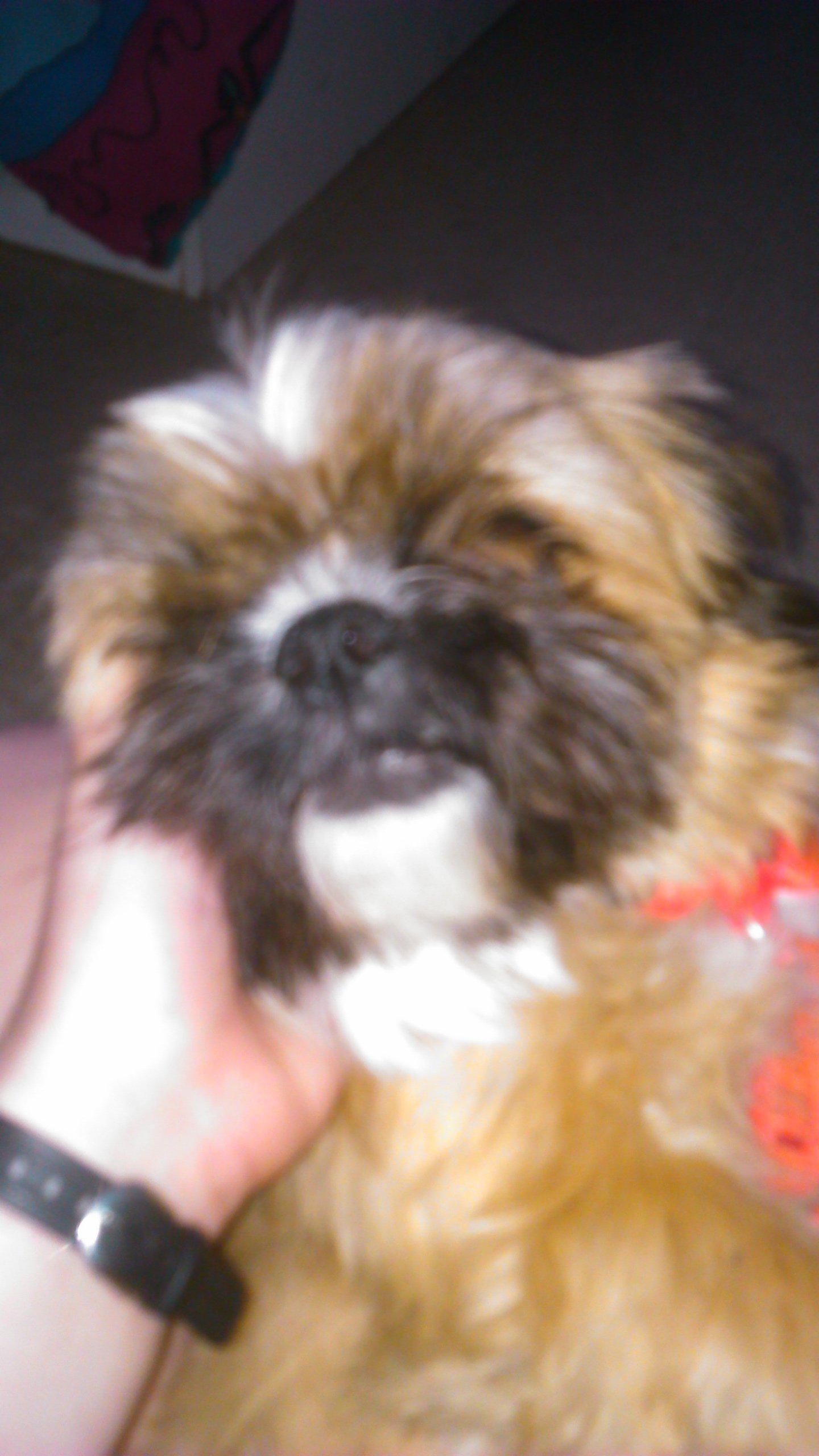 htmvmbd's profile picture. I love hh and Chad brownlee