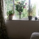 Emily Spink - @EmilyS30 - Twitter