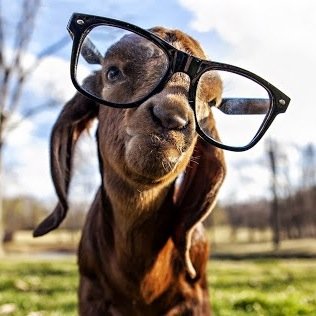 jgk_fd's profile picture. 