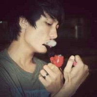 Vegantarian (@katarivan) 's Twitter Profile