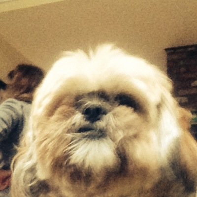 allenmj61's profile picture. 